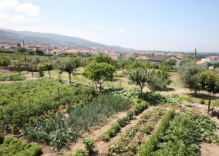 Летний дом Casa Do Cabeco *